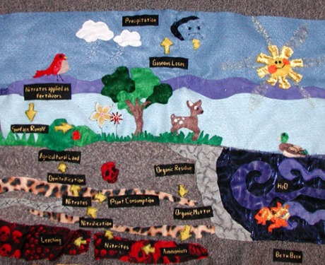 nitrogen cycle by beth been